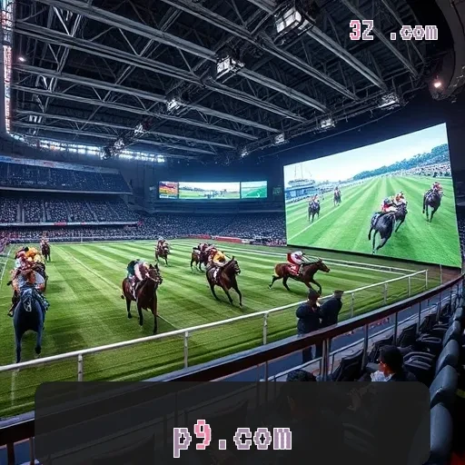 p9.com Plataforma